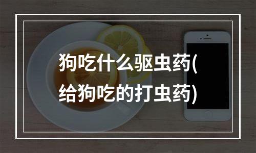 狗吃什么驱虫药(给狗吃的打虫药)