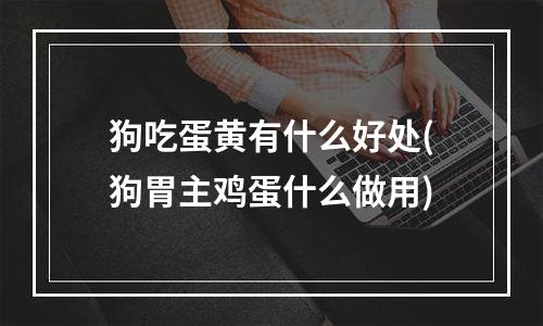 狗吃蛋黄有什么好处(狗胃主鸡蛋什么做用)