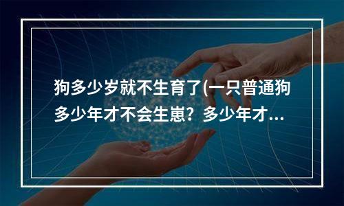 狗多少岁就不生育了(一只普通狗多少年才不会生崽？多少年才算老狗？如题 谢谢了)