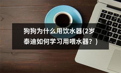 狗狗为什么用饮水器(2岁泰迪如何学习用喂水器？)