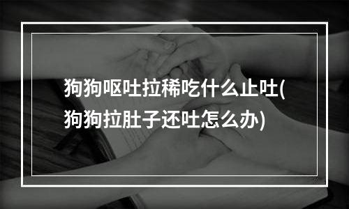 狗狗呕吐拉稀吃什么止吐(狗狗拉肚子还吐怎么办)