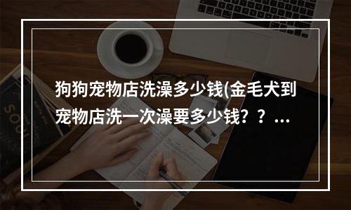 狗狗宠物店洗澡多少钱(金毛犬到宠物店洗一次澡要多少钱？？)