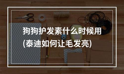 狗狗护发素什么时候用(泰迪如何让毛发亮)