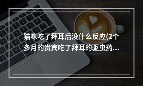 猫咪吃了拜耳后没什么反应(2个多月的贵宾吃了拜耳的驱虫药，按照医生嘱咐，吃了四分之一片。吃了药后吃了点馒头。)