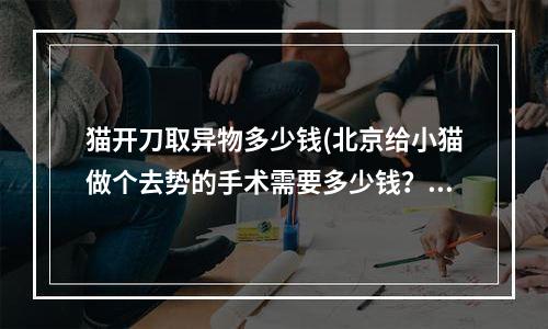 猫开刀取异物多少钱(北京给小猫做个去势的手术需要多少钱？)