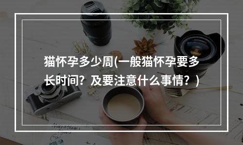 猫怀孕多少周(一般猫怀孕要多长时间？及要注意什么事情？)