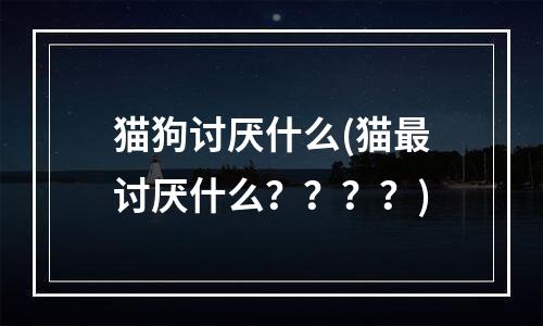 猫狗讨厌什么(猫最讨厌什么？？？？)