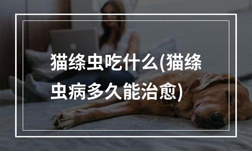 猫绦虫吃什么(猫绦虫病多久能治愈)