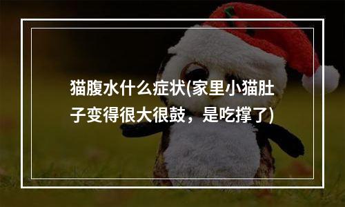 猫腹水什么症状(家里小猫肚子变得很大很鼓，是吃撑了)