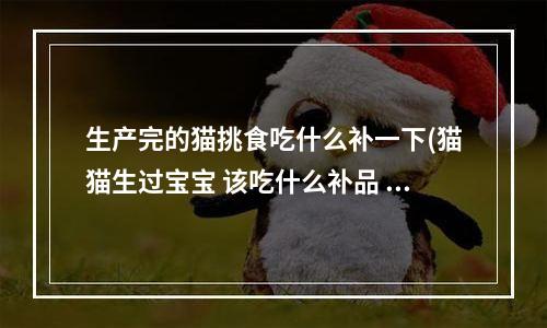 生产完的猫挑食吃什么补一下(猫猫生过宝宝 该吃什么补品 小猫多久要断奶)