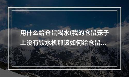 用什么给仓鼠喝水(我的仓鼠笼子上没有饮水机那该如何给仓鼠喝水)