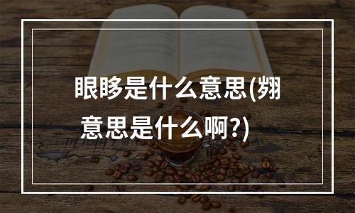 眼眵是什么意思(翙 意思是什么啊?)