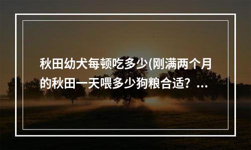 秋田幼犬每顿吃多少(刚满两个月的秋田一天喂多少狗粮合适？)