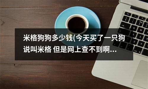 米格狗狗多少钱(今天买了一只狗说叫米格 但是网上查不到啊 谁给点它的资料米格狗)