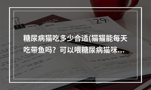 糖尿病猫吃多少合适(猫猫能每天吃带鱼吗？可以喂糖尿病猫咪吃什么？请专业人士回答最好是兽医，拜托啦！)