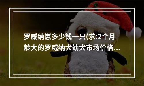 罗威纳崽多少钱一只(求:2个月龄大的罗威纳犬幼犬市场价格)