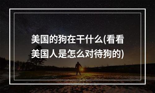 美国的狗在干什么(看看美国人是怎么对待狗的)