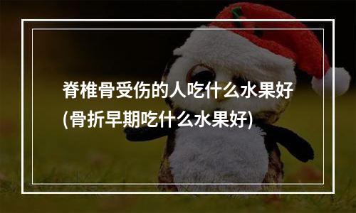 脊椎骨受伤的人吃什么水果好(骨折早期吃什么水果好)