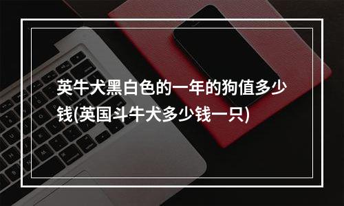 英牛犬黑白色的一年的狗值多少钱(英国斗牛犬多少钱一只)