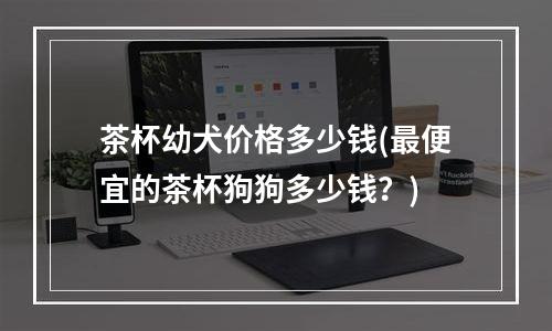 茶杯幼犬价格多少钱(最便宜的茶杯狗狗多少钱？)