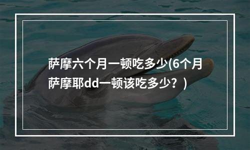 萨摩六个月一顿吃多少(6个月萨摩耶dd一顿该吃多少？)