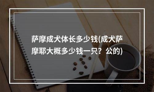 萨摩成犬体长多少钱(成犬萨摩耶大概多少钱一只？公的)