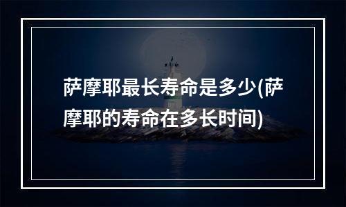 萨摩耶最长寿命是多少(萨摩耶的寿命在多长时间)