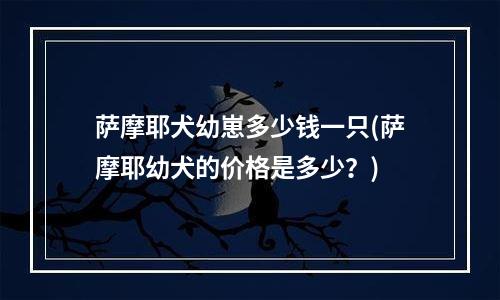 萨摩耶犬幼崽多少钱一只(萨摩耶幼犬的价格是多少？)