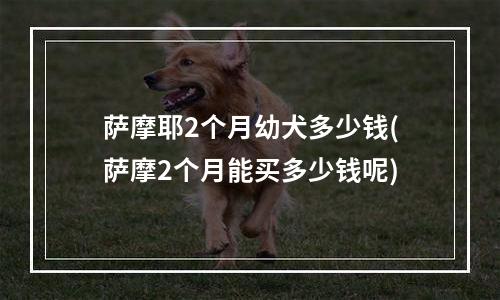 萨摩耶2个月幼犬多少钱(萨摩2个月能买多少钱呢)