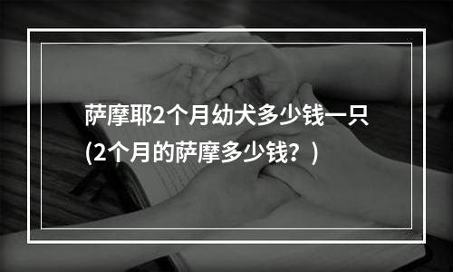 萨摩耶2个月幼犬多少钱一只(2个月的萨摩多少钱？)