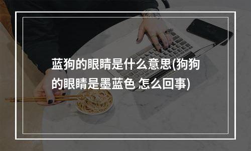 蓝狗的眼睛是什么意思(狗狗的眼睛是墨蓝色 怎么回事)