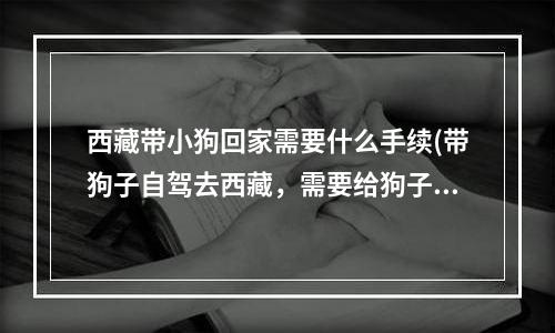 西藏带小狗回家需要什么手续(带狗子自驾去西藏，需要给狗子办证吗？)