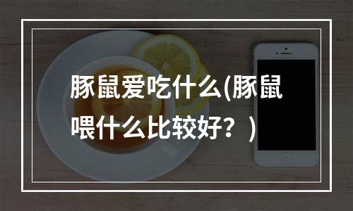 豚鼠爱吃什么(豚鼠喂什么比较好？)