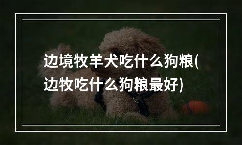 边境牧羊犬吃什么狗粮(边牧吃什么狗粮最好)