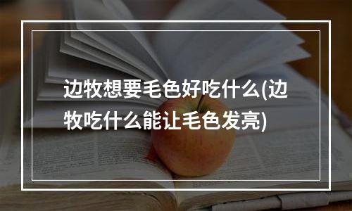 边牧想要毛色好吃什么(边牧吃什么能让毛色发亮)