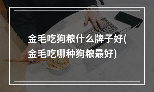 金毛吃狗粮什么牌子好(金毛吃哪种狗粮最好)