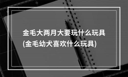 金毛大两月大要玩什么玩具(金毛幼犬喜欢什么玩具)