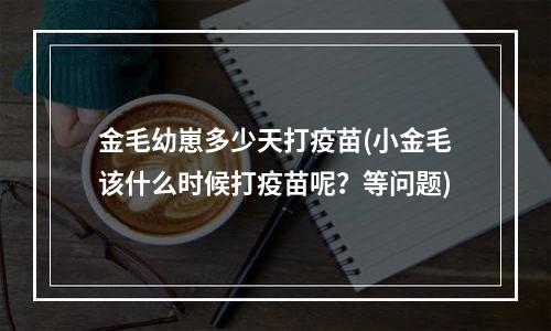 金毛幼崽多少天打疫苗(小金毛该什么时候打疫苗呢？等问题)