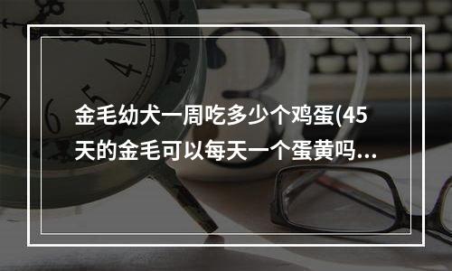 金毛幼犬一周吃多少个鸡蛋(45天的金毛可以每天一个蛋黄吗？不给蛋黄不好好吃，请有经验的或者喂的朋友有帮忙参考一下。)