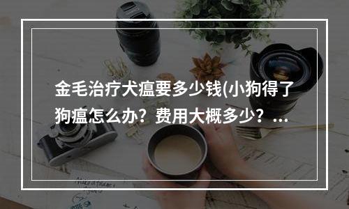 金毛治疗犬瘟要多少钱(小狗得了狗瘟怎么办？费用大概多少？急 谢谢谢谢)