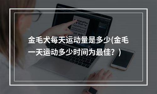 金毛犬每天运动量是多少(金毛一天运动多少时间为最佳？)