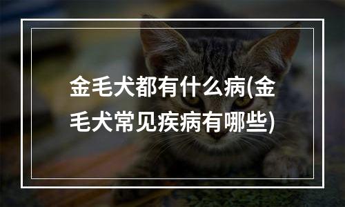 金毛犬都有什么病(金毛犬常见疾病有哪些)