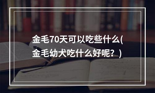 金毛70天可以吃些什么(金毛幼犬吃什么好呢？)