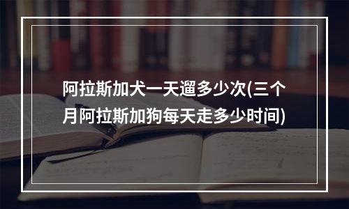 阿拉斯加犬一天遛多少次(三个月阿拉斯加狗每天走多少时间)