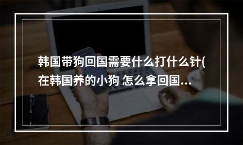 韩国带狗回国需要什么打什么针(在韩国养的小狗 怎么拿回国？需要什么手续？)