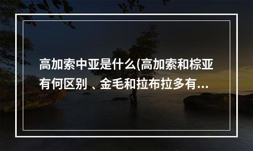 高加索中亚是什么(高加索和棕亚有何区别﹑金毛和拉布拉多有什么区别)