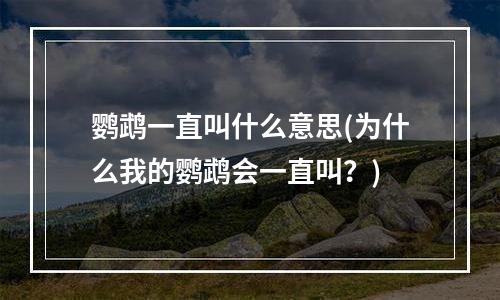 鹦鹉一直叫什么意思(为什么我的鹦鹉会一直叫？)