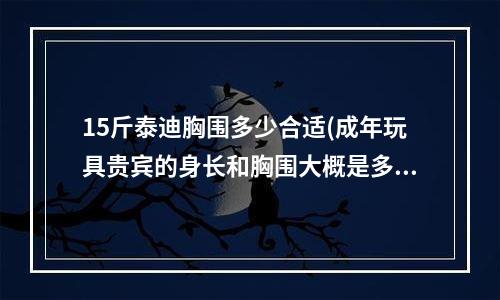 15斤泰迪胸围多少合适(成年玩具贵宾的身长和胸围大概是多少？)