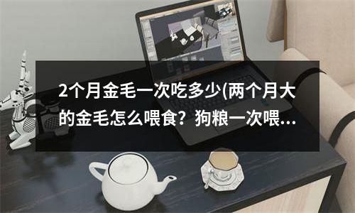 2个月金毛一次吃多少(两个月大的金毛怎么喂食？狗粮一次喂多少粒？)