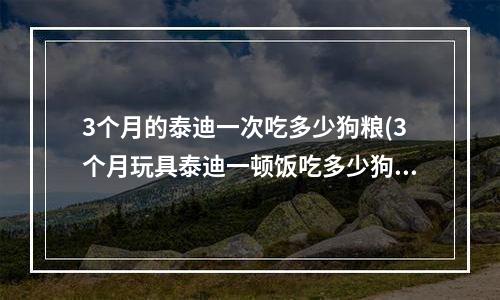 3个月的泰迪一次吃多少狗粮(3个月玩具泰迪一顿饭吃多少狗粮？)